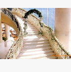 婚庆与庆典 一站式礼仪服务与用品展示，打造您的完美庆典